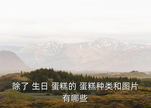 除了 生日 蛋糕的 蛋糕種類和圖片有哪些