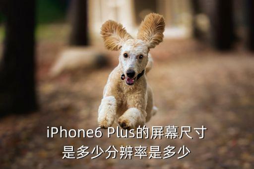 iphone6plus，iphone6 plus什么意思