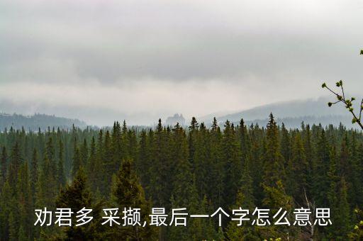 勸君多采擷,醉字推到極致朋友duo采擷的意思不言而喻