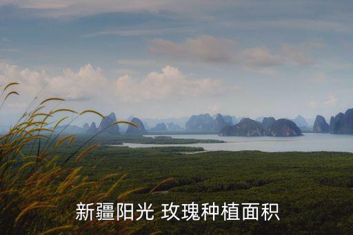  新疆陽光 玫瑰種植面積
