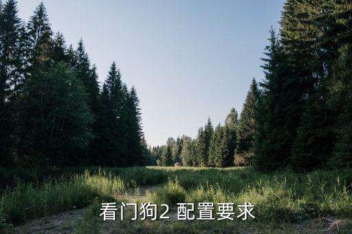 看門狗2配置,關(guān)于看門狗二還是大表哥2你知道答案