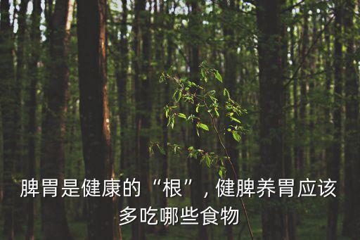 健脾養胃丸,患者脾虛濕盛可多吃山藥和小米粥