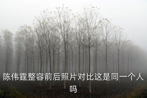 陳偉霆整容前后照片對比這是同一個人嗎