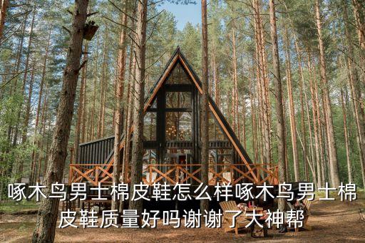 棉皮鞋，啄木鳥男士棉皮鞋怎么樣啄木鳥男士棉皮鞋質量好嗎謝謝了大神幫