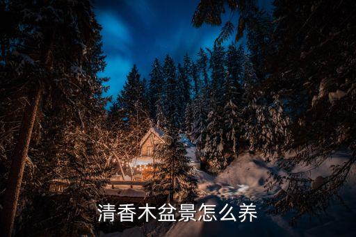 清香木盆景，清香木盆景怎么養