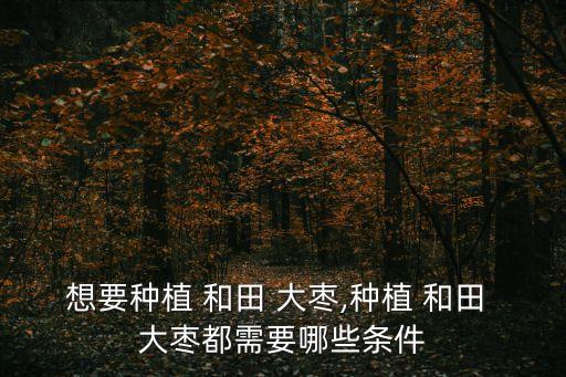 和田大棗,新疆出產和田棗專利商標由中國商標注冊