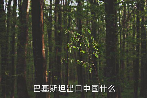  巴基斯坦出口中國什么