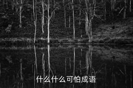 什么什么可怕成語