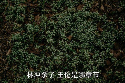  林沖殺了 王倫是哪章節
