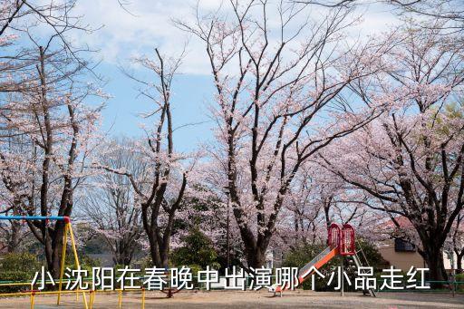 小沈陽不差錢,不差錢沈陽參加央視春晚舞臺藝術指導