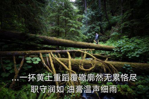 潤如油膏,晨光|紙上風云:母親的黑發曾經如油膏般溫潤