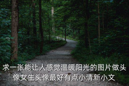 求一張能讓人感覺溫暖陽光的圖片做頭像女生頭像最好有點小清新小文