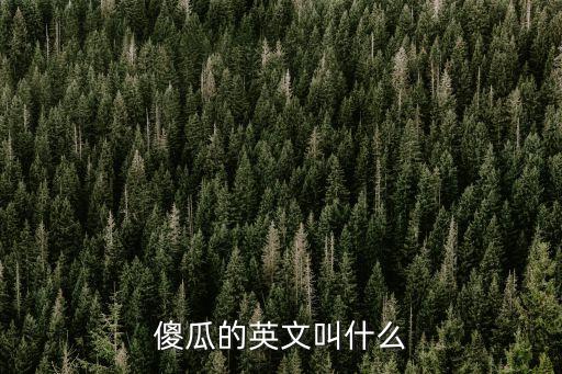 傻瓜的英文叫什么