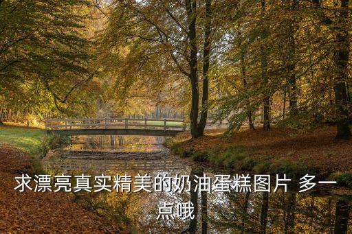 求漂亮真實(shí)精美的奶油蛋糕圖片 多一點(diǎn)哦