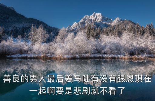 善良的男人最后姜馬陸有沒有跟恩琪在一起啊要是悲劇就不看了