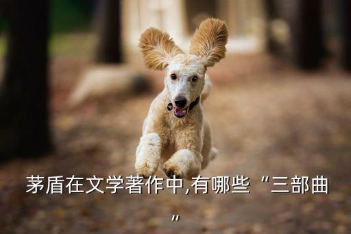 茅盾代表作,茅盾捐25萬人民幣設立茅盾文學獎
