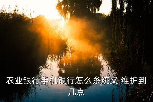農行維護,農行網銀轉賬收費可在柜臺基礎上打5折