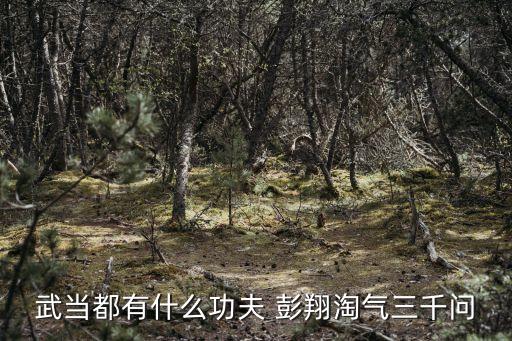 武當(dāng)功夫，武當(dāng)都有什么功夫 彭翔淘氣三千問
