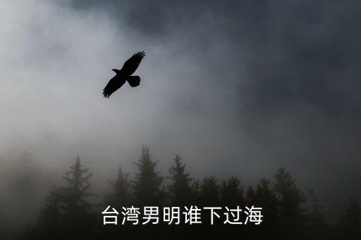 臺灣男明星,臺灣男易飄洋過海泛指臺灣省