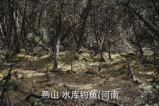 燕山水庫(kù),7月第二輪擁車證成功標(biāo)價(jià)起落參半