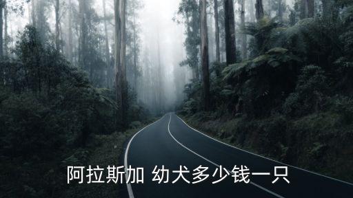 阿拉斯加幼犬價格,阿拉斯加系統純正狗狗長相比較好脾氣溫柔