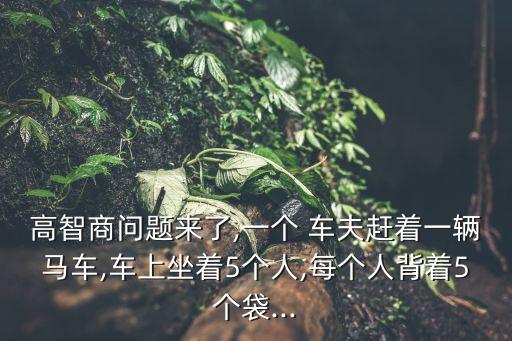 高智商問題來了,一個 車夫趕著一輛馬車,車上坐著5個人,每個人背著5個袋...