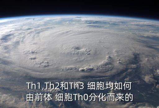Th1,Th2和Th3 細(xì)胞均如何由前體 細(xì)胞Th0分化而來的