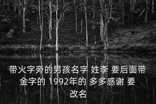 帶火字旁的男孩名字 姓李 要后面帶金字的 1992年的 多多感謝 要改名