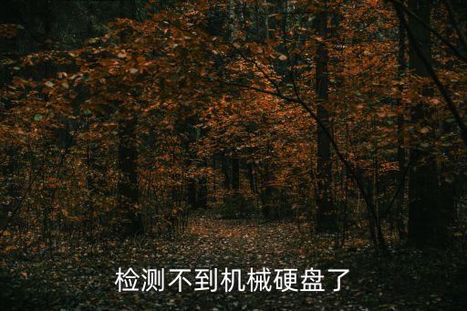 機械硬盤無法識別，檢測不到機械硬盤了
