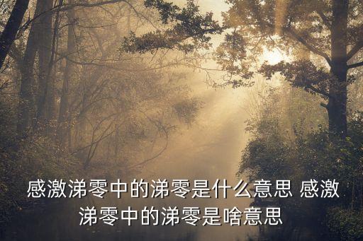 感激涕零的意思,感激涕零感動(dòng)流淚的中國(guó)人