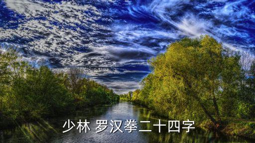 少林羅漢拳,第二集:羅漢唐轉、少林羅漢拳擊