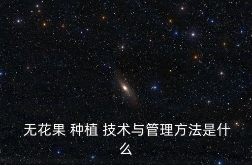  無花果 種植 技術(shù)與管理方法是什么