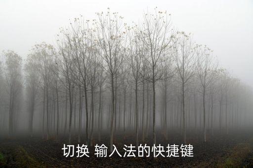  切換 輸入法的快捷鍵