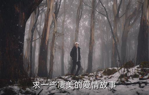 凄美的愛情故事，求一些凄美的愛情故事