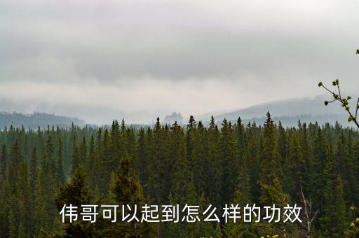 偉哥效果,國產(chǎn)偉哥金戈多少錢一盒?一盒吃完效果好