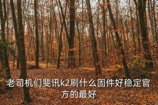 老司機們斐訊k2刷什么固件好穩定官方的最好