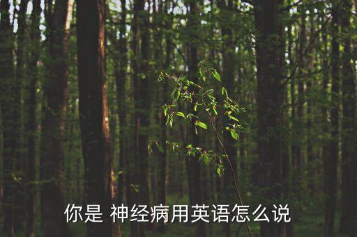 你是 神經病用英語怎么說