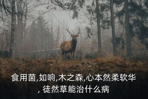 徒然草,日本古代散文集偶然草注重對生活的理解