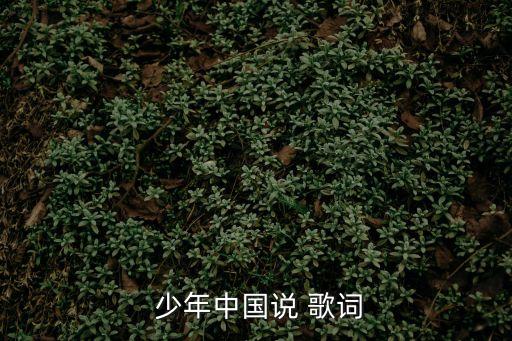 少年中國歌詞,少年自由則國強大