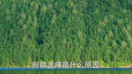 腳關節(jié)痛,膝關節(jié)半月板損傷可引起關節(jié)痛