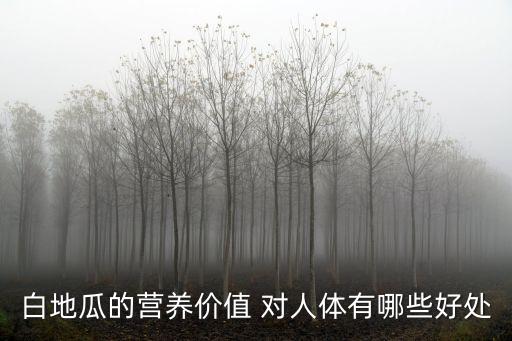 白地瓜的營養價值 對人體有哪些好處
