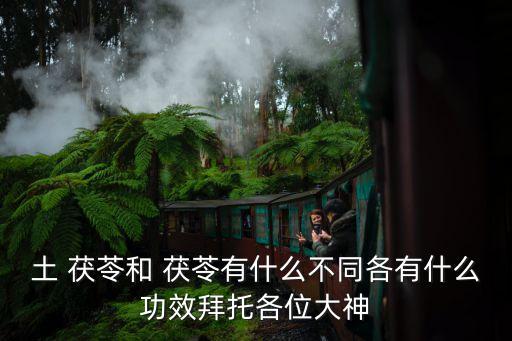 土 茯苓和 茯苓有什么不同各有什么功效拜托各位大神