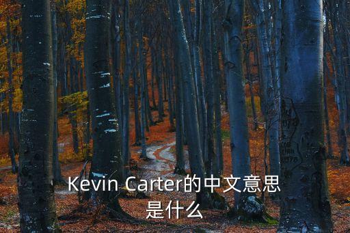 Kevin Carter的中文意思是什么