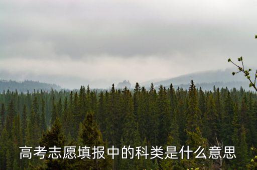 報考科類，高考科類是什么意思