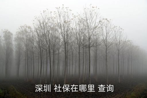 深圳社保查詢個人賬戶