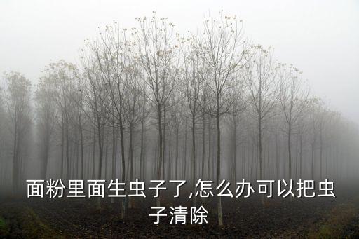 面粉長蟲怎么辦,用面粉筐篩一下蟲子怕光就鉆進面里鉆