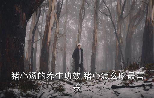 蓮子豬心湯,豬心湯有何養(yǎng)生功效?