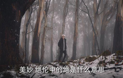 美妙絕倫,美妙絕倫:景色無法比喻文筆意境完美美妙