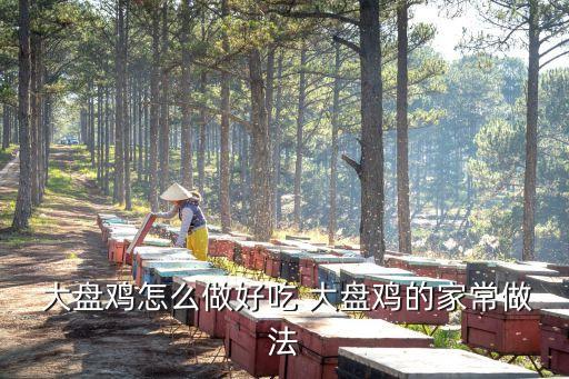 大盤雞做法,大盤現成成品雞怎么做好吃才輕松