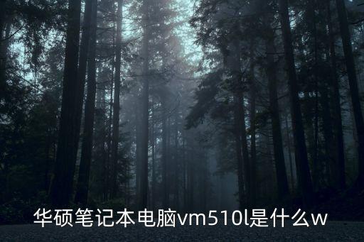 華碩筆記本電腦vm510l是什么w